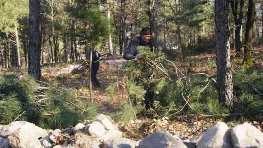 Cumalıkızık'a 90 bin metrekare mesire alanı