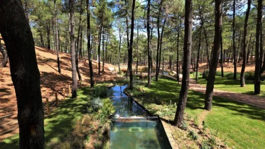 Cumhurbaşkanı Recep Tayyip Erdoğan Sultanbeyli'de açılışlar gerçekleştirecek