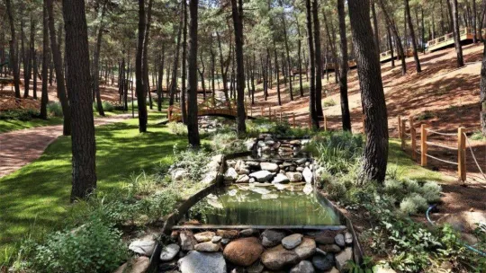 Cumhurbaşkanı Recep Tayyip Erdoğan Sultanbeyli'de açılışlar gerçekleştirecek