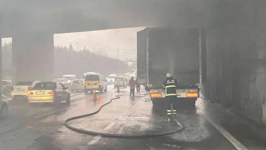 D-100'de çay yüklü tır alev alev yandı