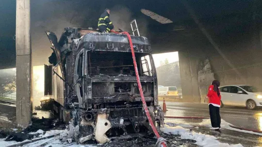 D-100'de çay yüklü tır alev alev yandı