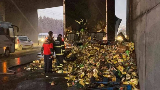 D-100'de çay yüklü tır alev alev yandı