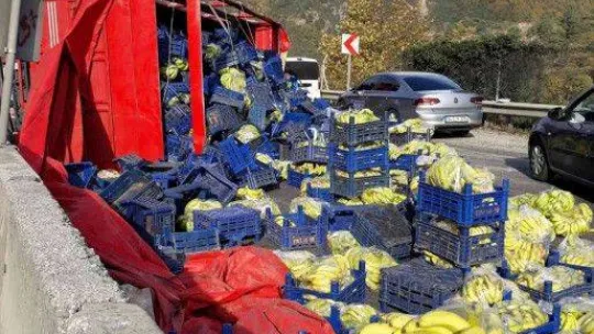 D-650'de meyve yüklü kamyon devrildi, tonlarca muz yola savruldu