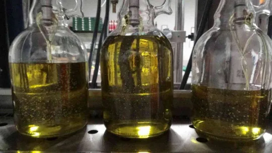 Daha kaliteli zeytinyağı için erken hasat