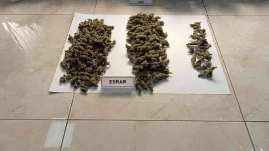 Dairelerine düzenek kurup uyuşturucu yetiştiren zehir tacirlerine operasyon: 138 gözaltı