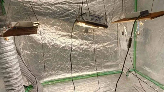 Dairelerine düzenek kurup uyuşturucu yetiştiren zehir tacirlerine operasyon: 138 gözaltı