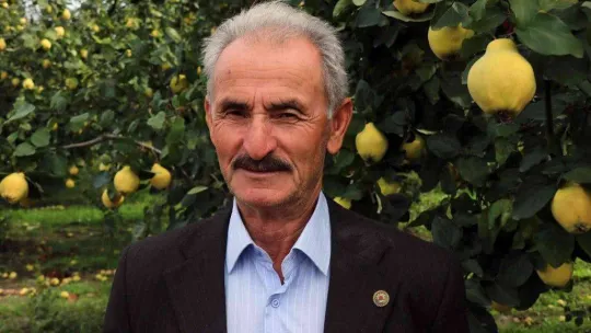 Dalların altın sarısında hasat zamanı: Dünyada rakibi yok