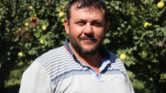 Dalların altın sarısında hasat zamanı: Dünyada rakibi yok