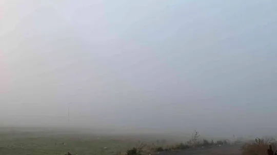 Darıca'da sis etkili oldu