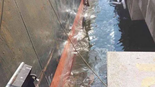 Denizi siyaha bürüyen gemiye rekor ceza