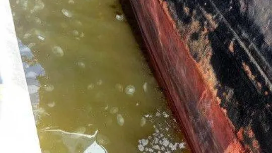 Denizi siyaha bürüyen gemiye rekor ceza