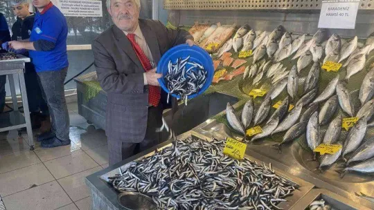Denizlerde balık bolluğu, hamsi 80 liradan 40'a düştü