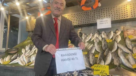 Denizlerde balık bolluğu, hamsi 80 liradan 40'a düştü
