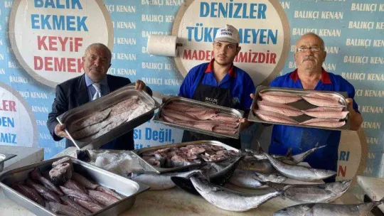 Denizlerde palamut bolluğu devam ediyor