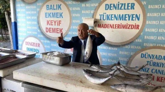 Denizlerde palamut bolluğu devam ediyor