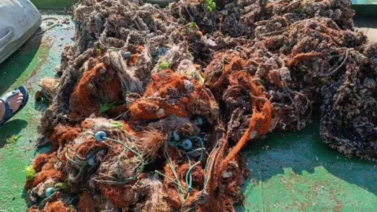 Denizlerden 5 futbol sahası büyüklüğünde hayalet ağ çıkarıldı