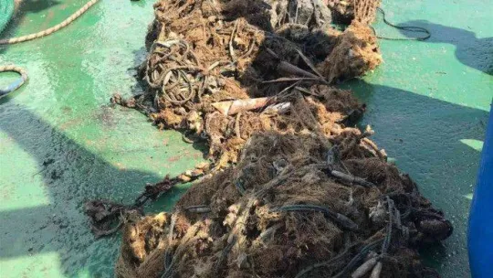 Denizlerden 5 futbol sahası büyüklüğünde hayalet ağ çıkarıldı