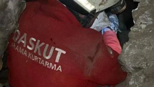 Depremin 17. gününde 25 hayvan enkaz altından sağ çıkarıldı