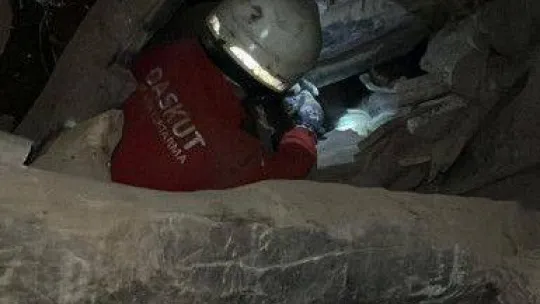 Depremin 17. gününde 25 hayvan enkaz altından sağ çıkarıldı