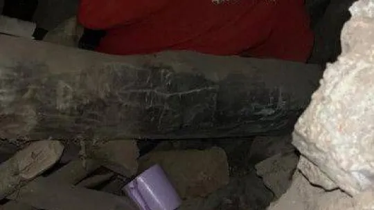 Depremin 17. gününde 25 hayvan enkaz altından sağ çıkarıldı