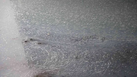 Dere bembeyaz aktı, ekipler bölgeyi inceliyor