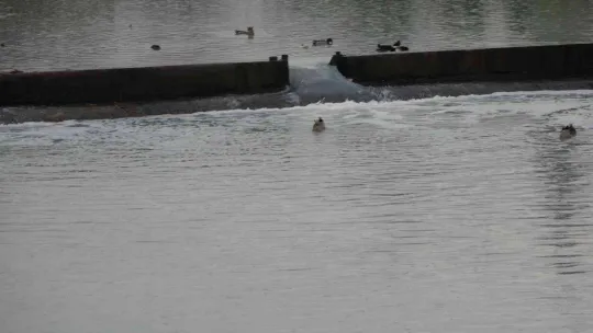 Dere bembeyaz aktı, ekipler bölgeyi inceliyor