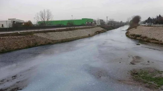 Dereyi kirleten firma faaliyetten men edildi