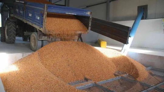 Derince'nin Tarımsal Kalkınma Tesisleri, üç önemli tesisi bünyesinde bulunduruyor