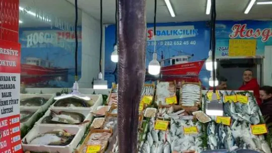 Dev balık ilgi çekti