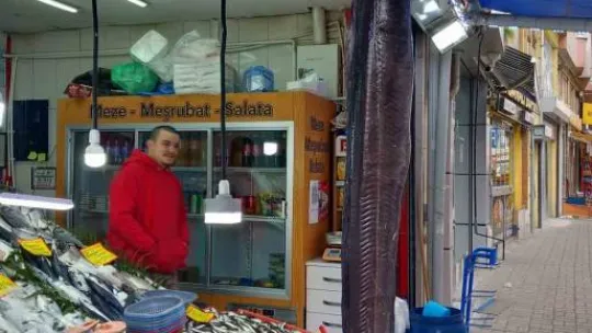 Dev balık ilgi çekti