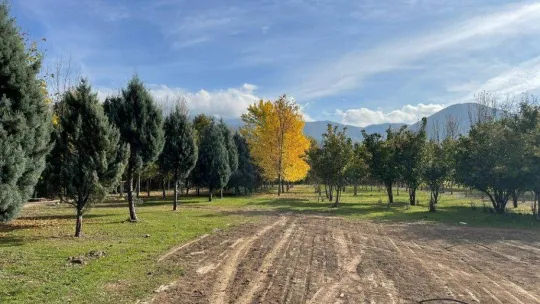 Dev mesire alanında sona gelindi