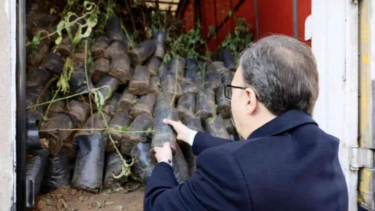 Devlet desteği ile çiftçilere 53 bin adet fidan dağıtıldı