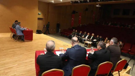 Dilovası, Yaygın ile kardeş şehir olacak