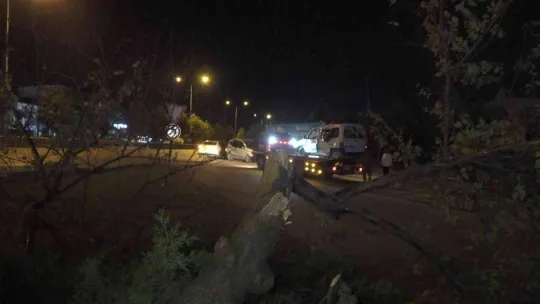 Direksiyon hakimiyetini kaybeden alkollü sürücü ağır yaralandı