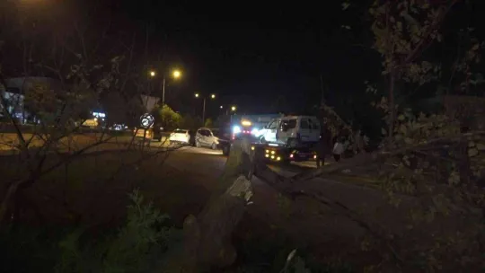 Direksiyon hakimiyetini kaybeden alkollü sürücü ağır yaralandı