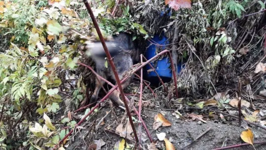 Diyarbakır'da terörün finans kaynağına büyük darbe