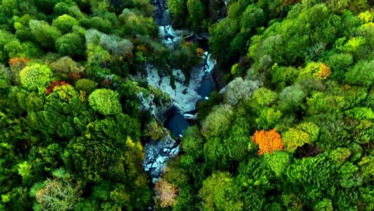 Doğançay Şelalesi sonbaharda görenleri hayran bırakıyor