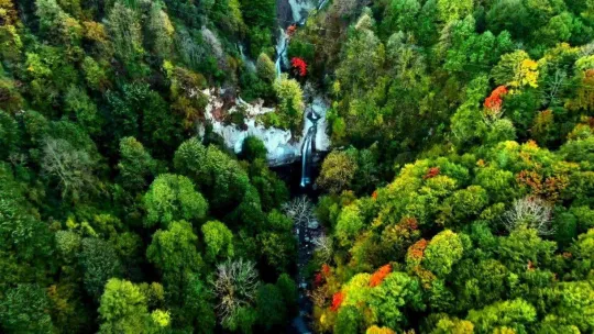 Doğançay Şelalesi sonbaharda görenleri hayran bırakıyor