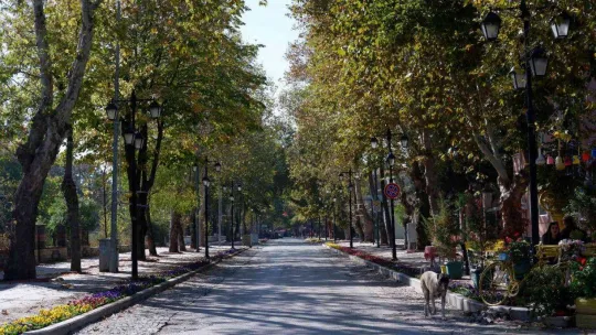 Doğu'da kar, Batı'da bahar, hem güneşin hem sonbaharın keyfini doyasıya yaşadılar