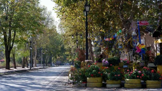 Doğu'da kar, Batı'da bahar, hem güneşin hem sonbaharın keyfini doyasıya yaşadılar