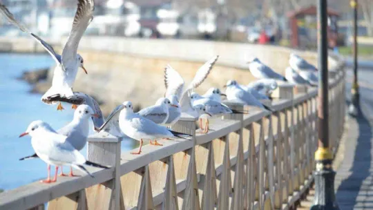 Doğuda kış, batıda yaz havası