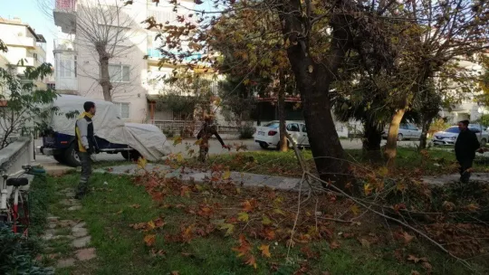 Dört mevsim yeşil Edremit için