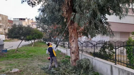 Dört mevsim yeşil Edremit için