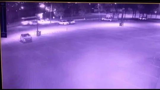 Dört nala ölüme böyle koştu