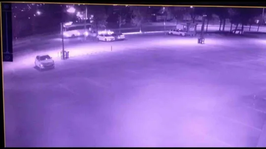 Dört nala ölüme böyle koştu