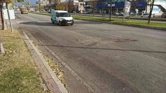 Dört nala ölüme böyle koştu