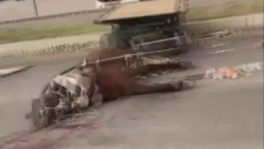 Dört nala ölüme böyle koştu