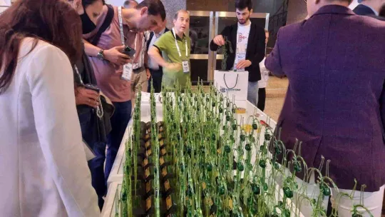 Dünya Fleboloji Kongresi İstanbul'da başladı