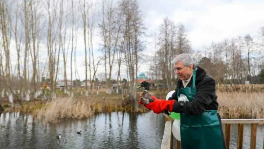 Dünya Sulak Alanlar Günü, doğa harikası Acarlar Longozu'nda kutlandı