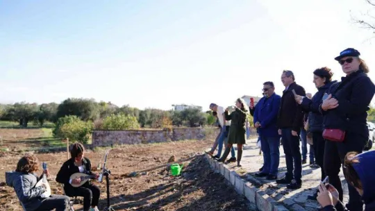 Dünya Zeytin Ağacı Günü'nde zeytin diktiler